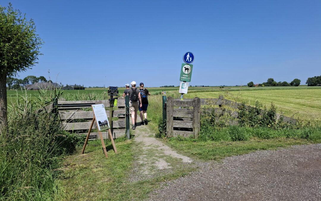 Jubileum Wandeltocht groot succes