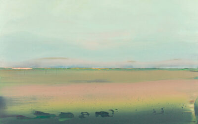 ‘GRONINGS LICHT’ in Museum Wierdenland